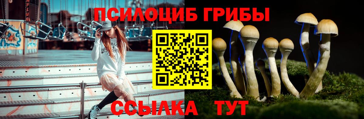 Чита  купить наркотики цена  Вход с VPN  Псилоцибиновые грибы мухоморы  Галлюциногенные грибы Psilocybe 